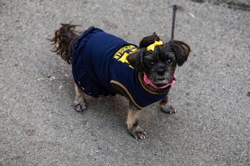 107A9328-Enhanced-NR