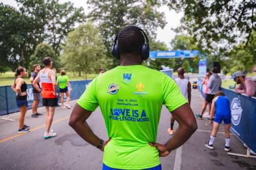 107A9384-Enhanced-NR