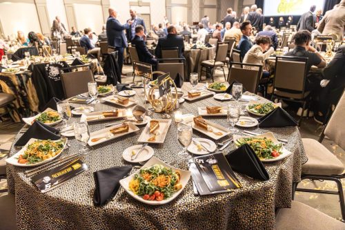 CZ1A8243-Enhanced-NR