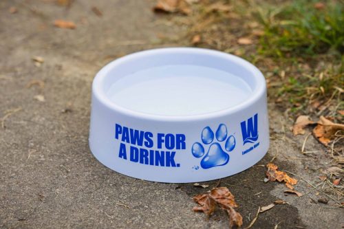 IMG 0001-Enhanced-NR