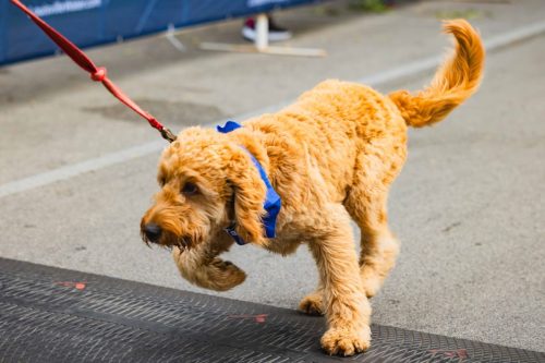 IMG 0138-Enhanced-NR