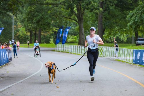 IMG 0243-Enhanced-NR