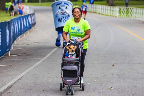 IMG 0661-Enhanced-NR