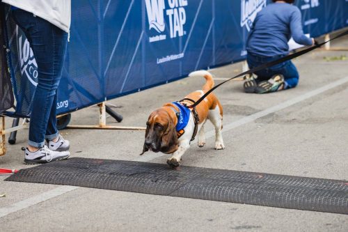 IMG 0696-Enhanced-NR