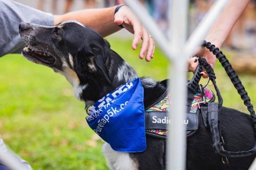 IMG 9640-Enhanced-NR