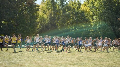 Photo-Oct-01-2022-10-41-51-AM