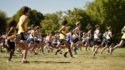 Photo-Oct-01-2022-10-41-56-AM-1