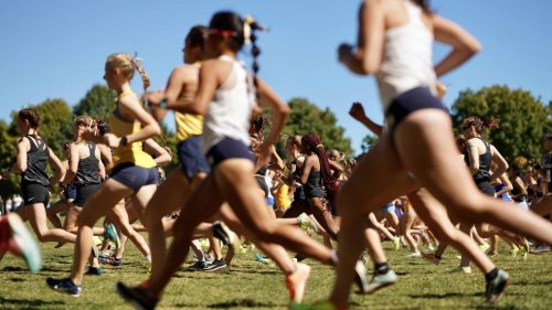 Photo-Oct-01-2022-11-26-51-AM