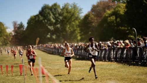 Photo-Oct-01-2022-11-46-22-AM